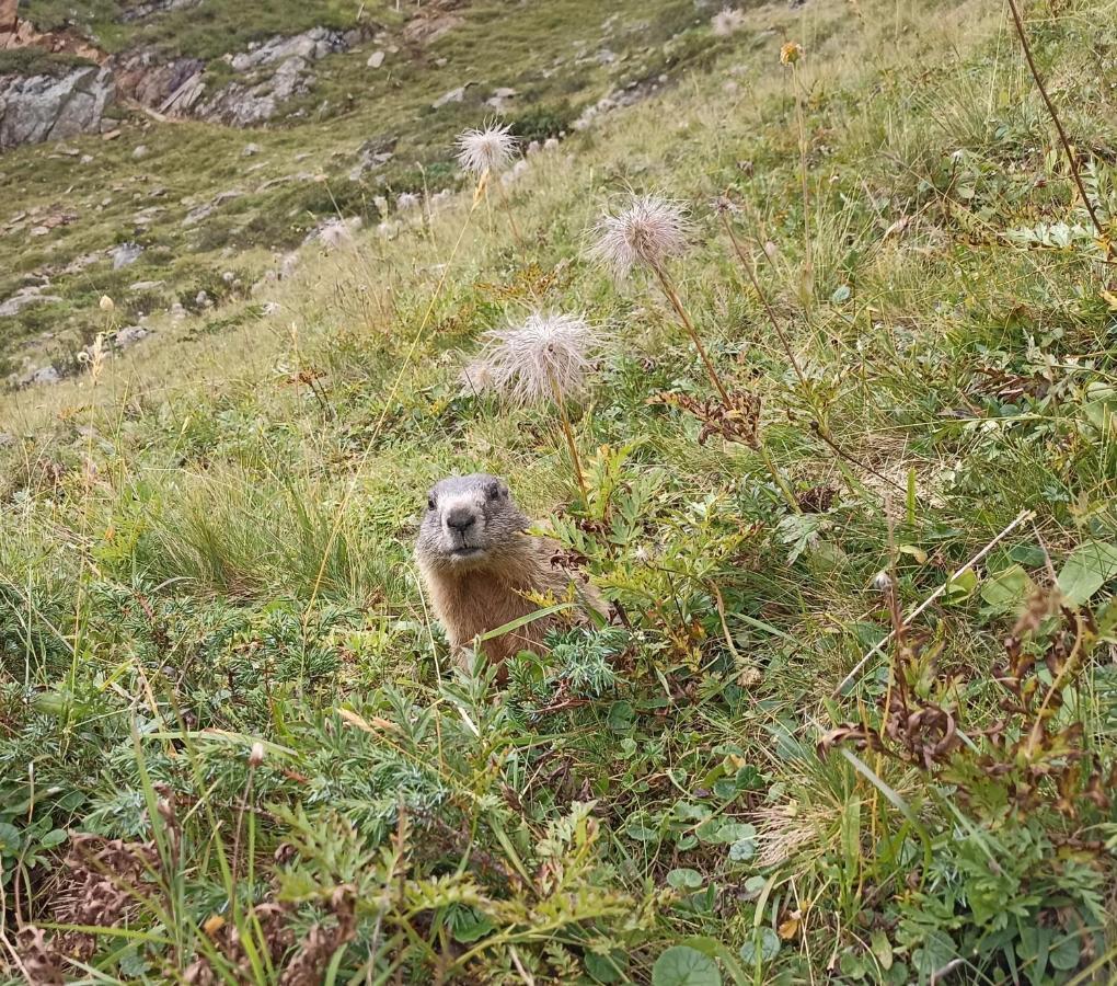 Haus Zur Muehle Leilighet Ried im Oberinntal Eksteriør bilde
